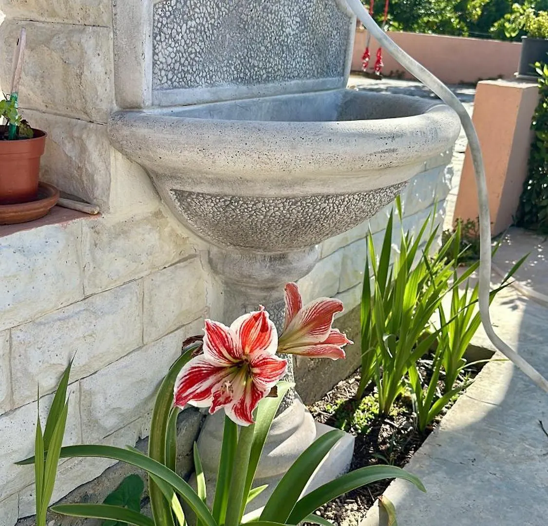 Noto Home Biniricita San Paolo